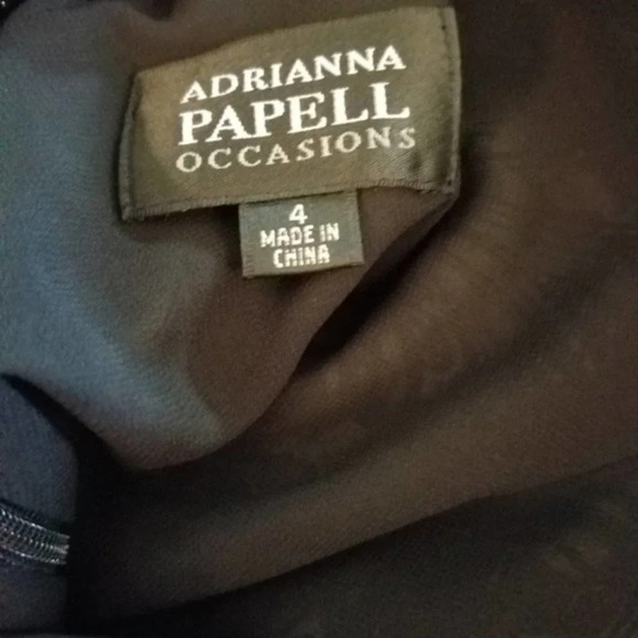 Adrianna Papell Silk Dress Size 4 NWT - Picture 6 of 9